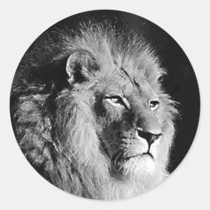 Foto van Black & White Lion Ronde Sticker
