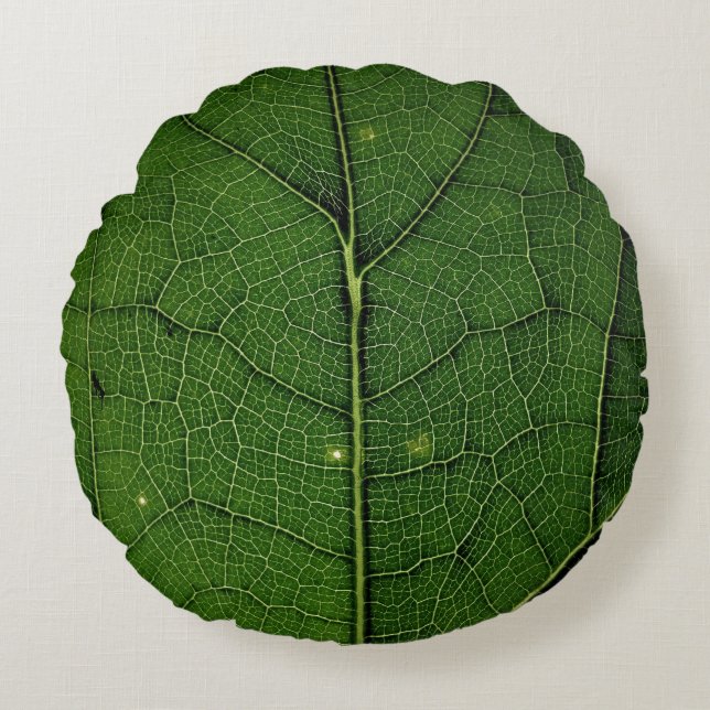 Foto van blad sluiten rond kussen (Voorkant)