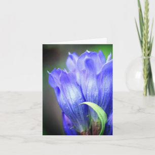 Foto van Blauwe Gentiaan Bloem Notitiekaartje