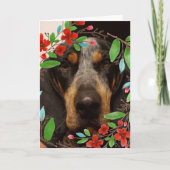 Foto van Bluetick Coonhound hond/huisdier Kaart (Voorkant)