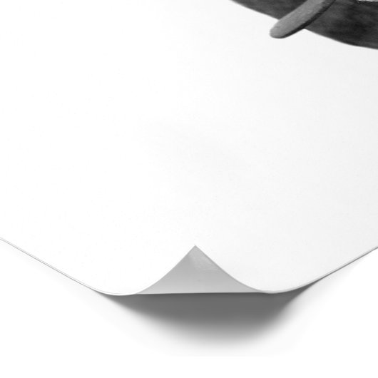 Foto van boerderijen van zwarte en witte koe poster (Hoek)