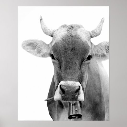 Foto van boerderijen van zwarte en witte koe poster (Voorkant)