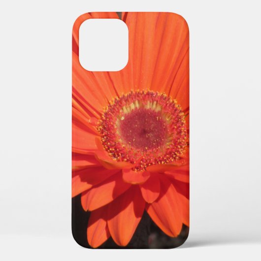 Foto van Bright Oranje Gerbera Daisy Flower Case-Mate iPhone Case (Achterkant)