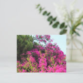 Foto van Bright Pink Bougainvillea Briefkaart (Staand voorkant)