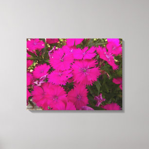 Foto van Bright roze bloemen Canvas Afdruk