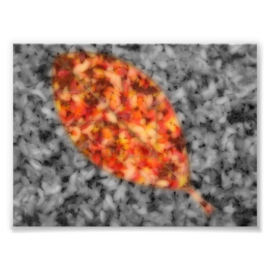 Foto van Bright schaduwen afdrukken Foto Afdruk (Voorkant)