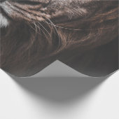 FOTO VAN BROWN-LION CADEAUPAPIER (Hoek)