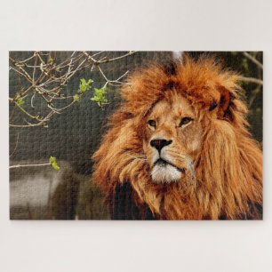 Foto van bruin leeuwengezicht legpuzzel
