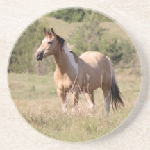Foto van buckskin tobiano paard dat poseert in de 