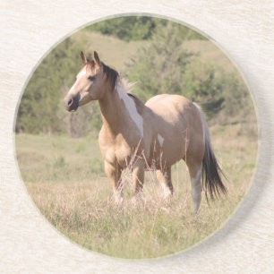 Foto van buckskin tobiano paard dat poseert in de zandsteen onderzetter