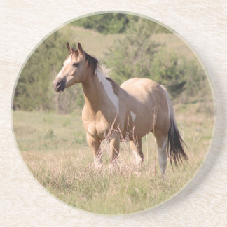 Foto van buckskin tobiano paard dat poseert in de zandsteen onderzetter