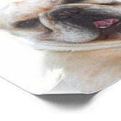 foto van bulldog afdruk (Hoek)