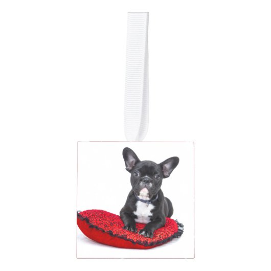  foto van Bulldog Puppy Decoratie (Voorkant)