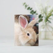 Foto van Bunny Love French Angora Rabbit Briefkaart (Staand voorkant)