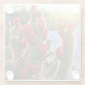 Foto van Cactus Blooms Red Sunset Desert Flowers Glazen Onderzetter (Achterkant)