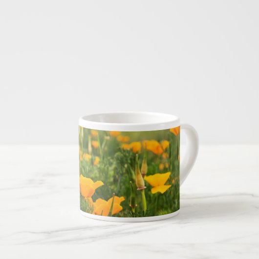 Foto van California Poppy Patch Espresso Kop (Voorkant rechts)