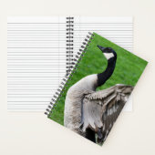 Foto van Canada Goose Flapping Notitieboek (Binnen)