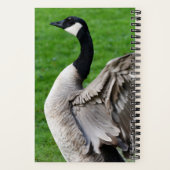 Foto van Canada Goose Flapping Notitieboek (Achterkant)