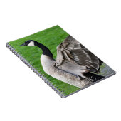 Foto van Canada Goose Flapping Notitieboek (Rechterzijde)