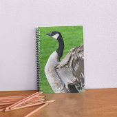 Foto van Canada Goose Flapping Notitieboek