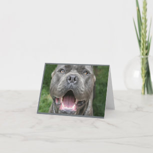 Foto van Cane Corso Card Kaart