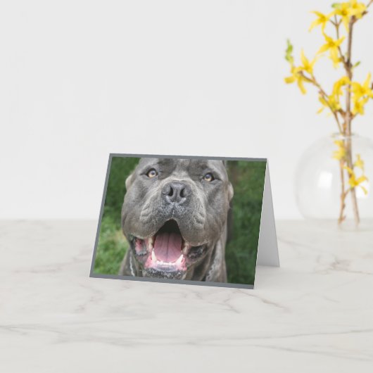 Foto van Cane Corso Kaart (Gele Bloem)