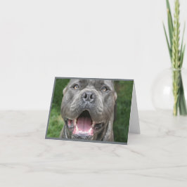 Foto van Cane Corso Kaart