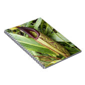Foto van Carnivorous Pitcher Plant Notitieboek (Rechterzijde)