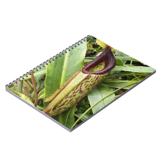 Foto van Carnivorous Pitcher Plant Notitieboek (Linkerzijde)