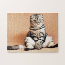 Foto van Cat Cat Cute