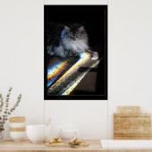Foto van Cat Rainbow Bridge Poster (Keuken)