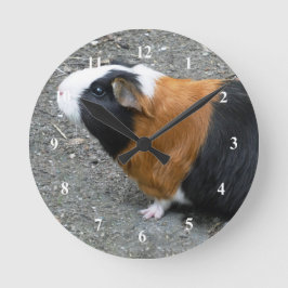 Foto van cavia ronde klok
