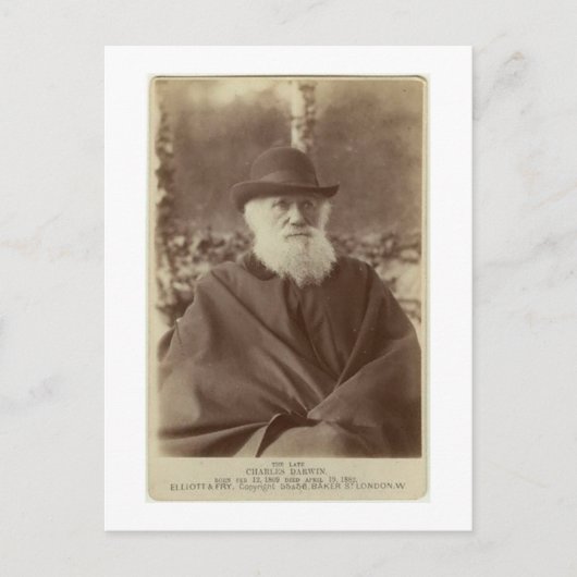 Foto van Charles Darwin, 29 november 1881 Briefkaart (Voorkant)