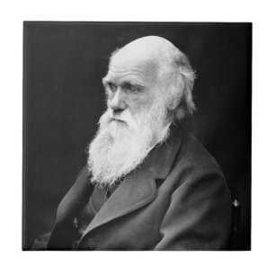 Foto van Charles Darwin Tegeltje