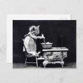Foto van  chaton cuisine briefkaart (Voorkant / Achterkant)