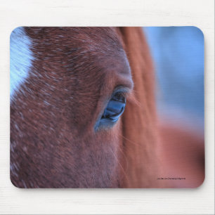 Foto van Chestnut Horse Equine Muismat