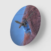 Foto van Chestnut Horse Equine Ronde Klok (Hoek)