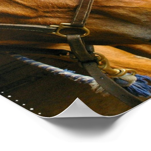 Foto van Chestnut Horse Poster (Hoek)