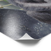 Foto van Chimpansee: Sitting and Staring Afdruk (Hoek)