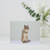 Foto van Chipmunk Briefkaart (Staand voorkant)