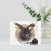 Foto van Chocolade French Angora Bunny Rabbit Briefkaart (Staand voorkant)