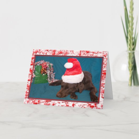 Foto van chocolade labrador met kerstmuts feestdagen kaart (Voorkant)