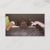 Foto van Chocolate Labrador Retriever Visitekaartje (Voorkant)