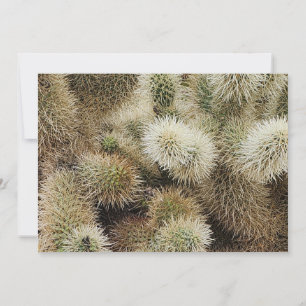 Foto van Cholla Cactus Notitiekaartje