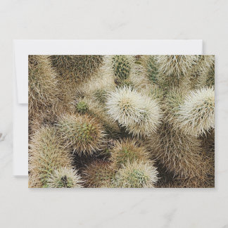 Foto van Cholla Cactus Notitiekaartje