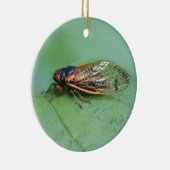 Foto van Cicada Keramisch Ornament (Rechts)