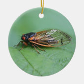 Foto van Cicada Keramisch Ornament (Voorkant)