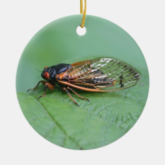 Foto van Cicada Keramisch Ornament (Voorkant)