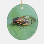 Foto van Cicada Keramisch Ornament (Links)