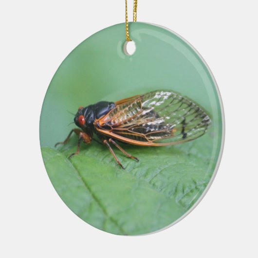 Foto van Cicada Keramisch Ornament (Links)